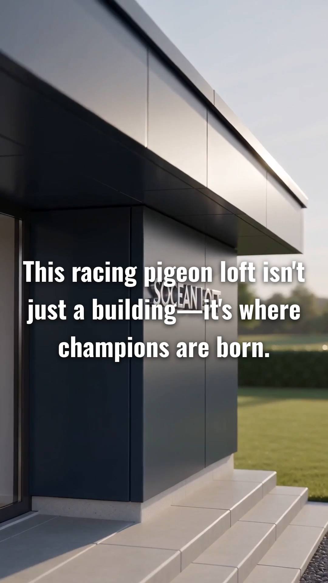 Create a promotional video for SOCEAN LOFT, inspired by the uploaded reference video's handheld advertising style, camera movement and fast pacing with real polish.
Make it look like a real advertisement filmed at an elite racing pigeon loft, not a fantasy or CGI commercial.
BRAND:
The exact name “SOCEAN LOFT” must be clearly visible and spelled correctly on a physical silver sign on the dark/navy loft facade. Do not use floating text.
SHOT 1 — HOOK:
Open with a strong, striking exterior view of the modern loft. The camera moves toward the building. SOCEAN LOFT is visible on the facade.
SHOT 2 — DETAILS:
Reveal the entrance, racing trap, landing area, ventilation and clean construction. Use handheld movement and quick clean cuts.
SHOT 3 — THE PIGEONS:
Move inside and show several healthy, photorealistic racing pigeons resting and moving naturally. Show close-up feather and eye details.
SHOT 4 — EASO:
Reveal EASO, the main recurring racing pigeon character of SOCEAN LOFT. EASO has realistic racing-pigeon anatomy, detailed feathers and expressive eyes. He looks directly at the camera briefly.
SHOT 5 — THE RACE:
EASO moves toward the racing trap and looks toward the open sky. The camera follows naturally before the race.
SHOT 6 — FINAL REVEAL:
End with EASO at the loft entrance as the camera pulls back to reveal the loft. SOCEAN LOFT remains clearly visible on the facade. Finish on a premium brand shot.
VISUAL STYLE:
Photorealistic real-world footage, daylight, authentic materials, realistic pigeons, detailed feathers, natural shadows, subtle handheld camera movement, realistic perspective and high quality. Dark/black, deep navy blue, restrained sky-blue accents and elegant silver details.
AUDIO:
Natural loft ambience with subtle energetic background music. No singing, dialogue or voice-over.
Keep EASO's appearance consistent in future episodes.
NO humans, cartoon style, artificial-looking pigeons, futuristic CGI, excessive effects, slow motion, subtitles, watermark or